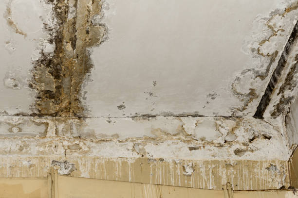 Asbestos and Lead Testing During Mold Inspection in Lake Carmel, NY